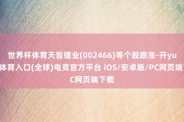 世界杯体育天皆锂业(002466)等个股跟涨-开yun云体育入口(全球)电竞官方平台 iOS/安卓版/PC网页端下载